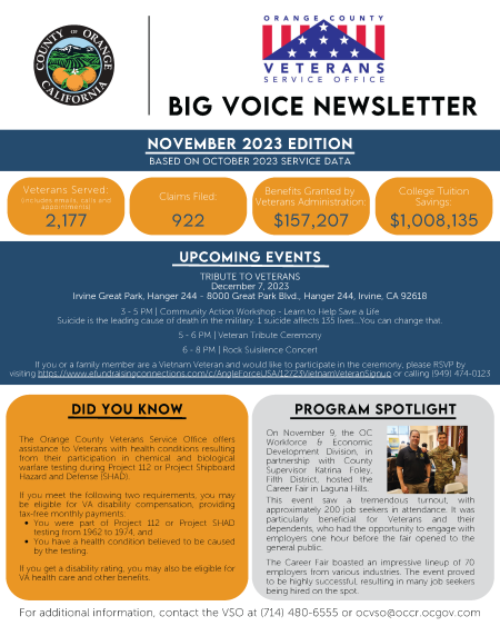 Big Voice Newsletter - November 2023