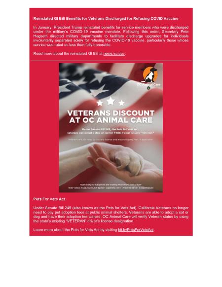 Big Voice Newsletter November 2025_Page3